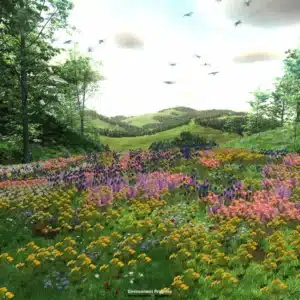 Relaxing Biofeedback Environment - Valley